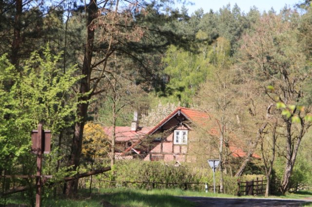 photo28.jpg