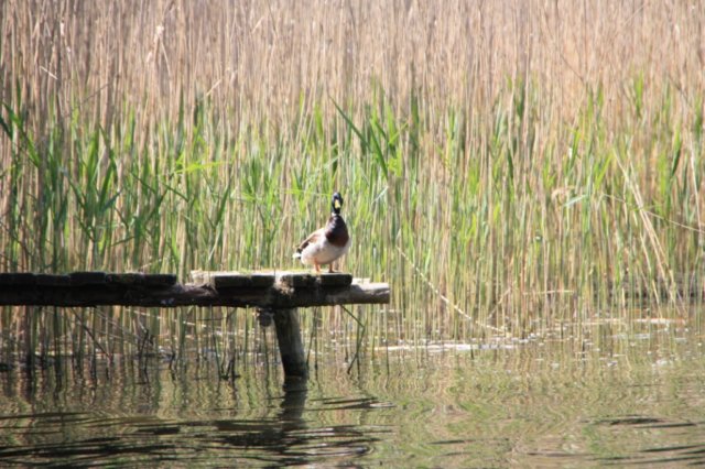 photo31.jpg