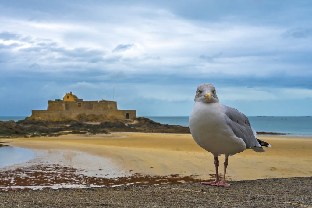 saintmalo.jpg