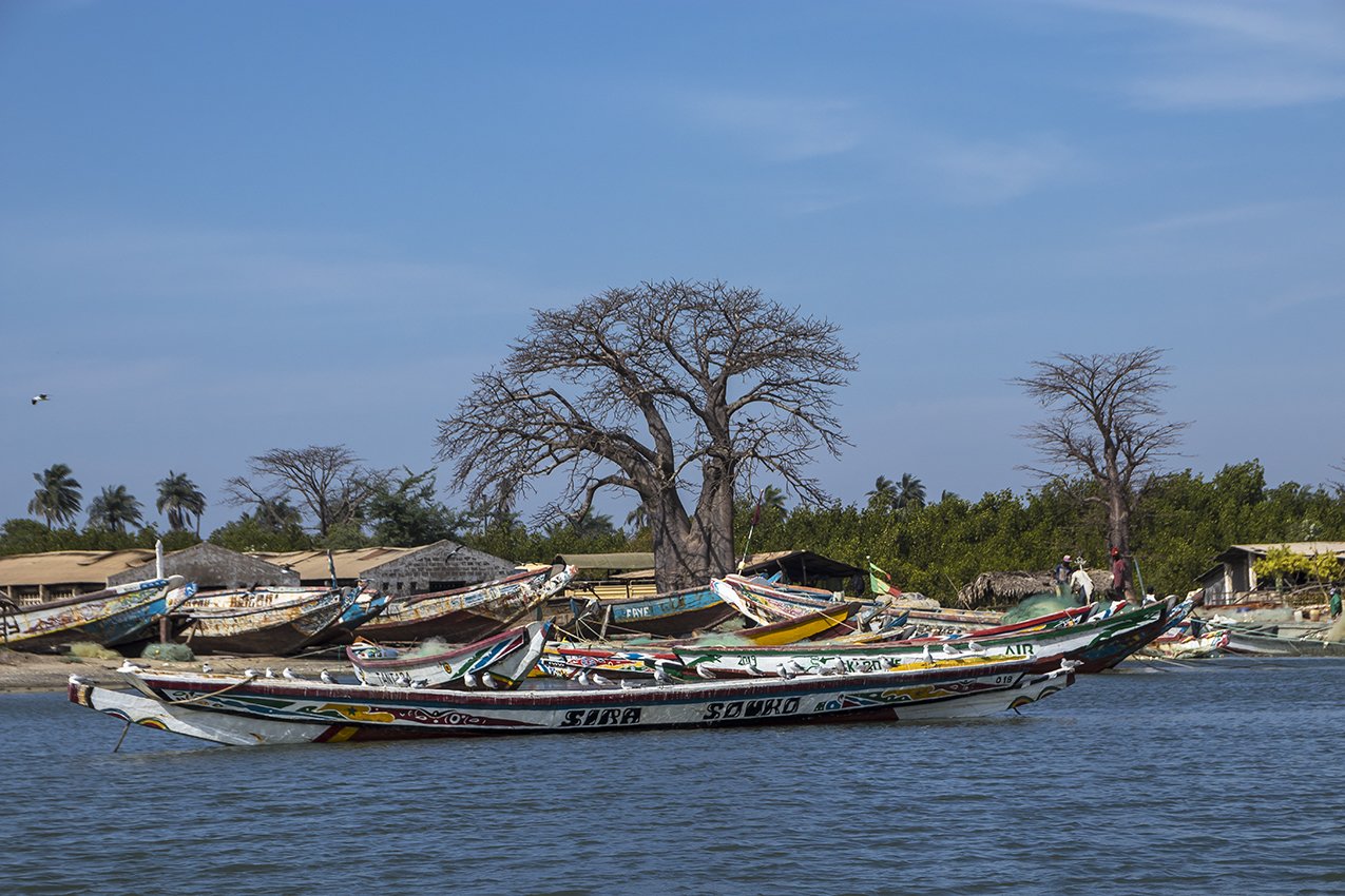 gambia138.jpg