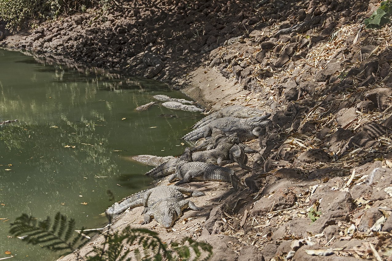 gambia27.jpg