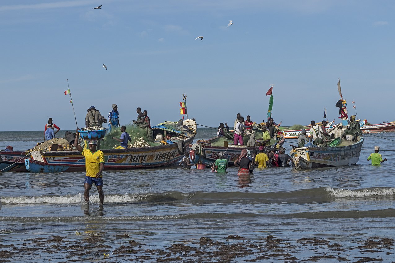 gambia86.jpg