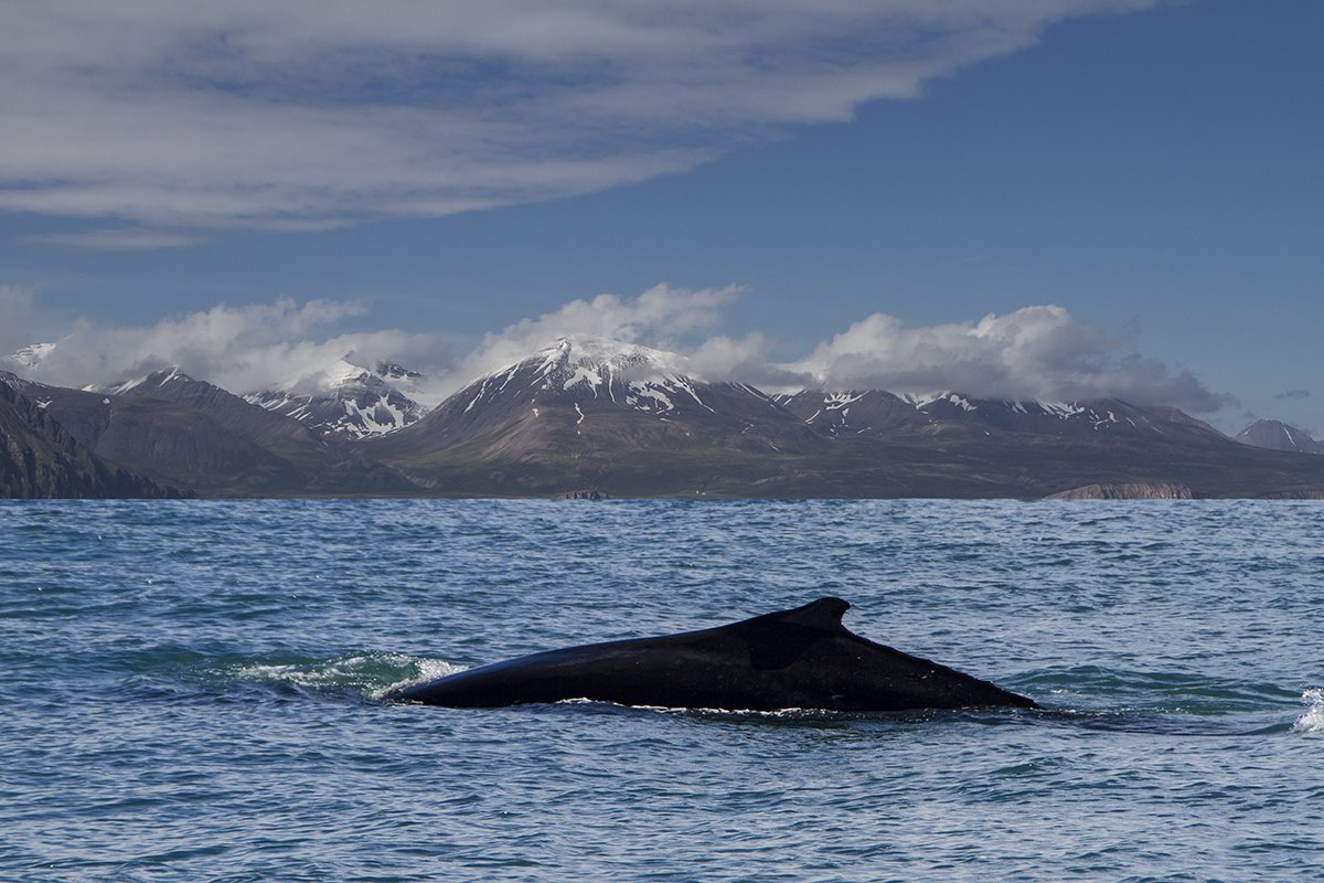 islandia48.jpg