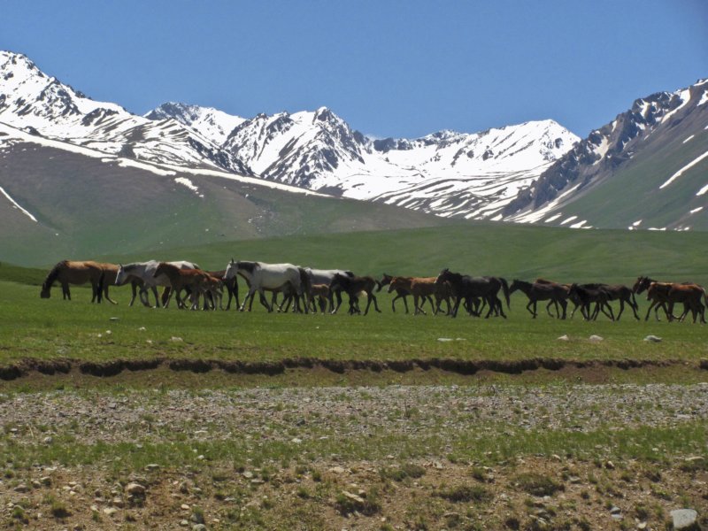 kirgistan15.jpg