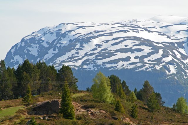 norwegia2103.jpg