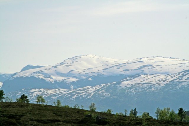 norwegia2109.jpg