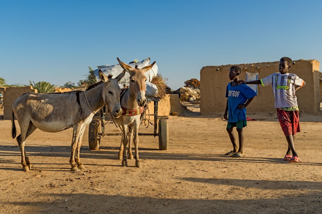 wyprawadosenegalu202338.jpg