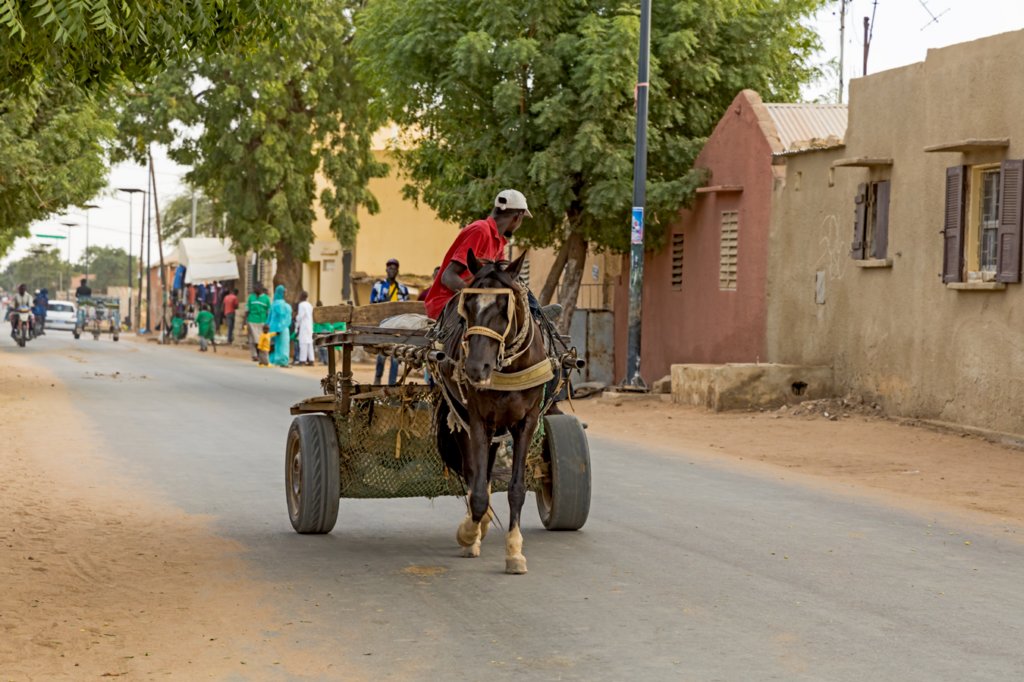 wyprawadosenegalu202367.jpg