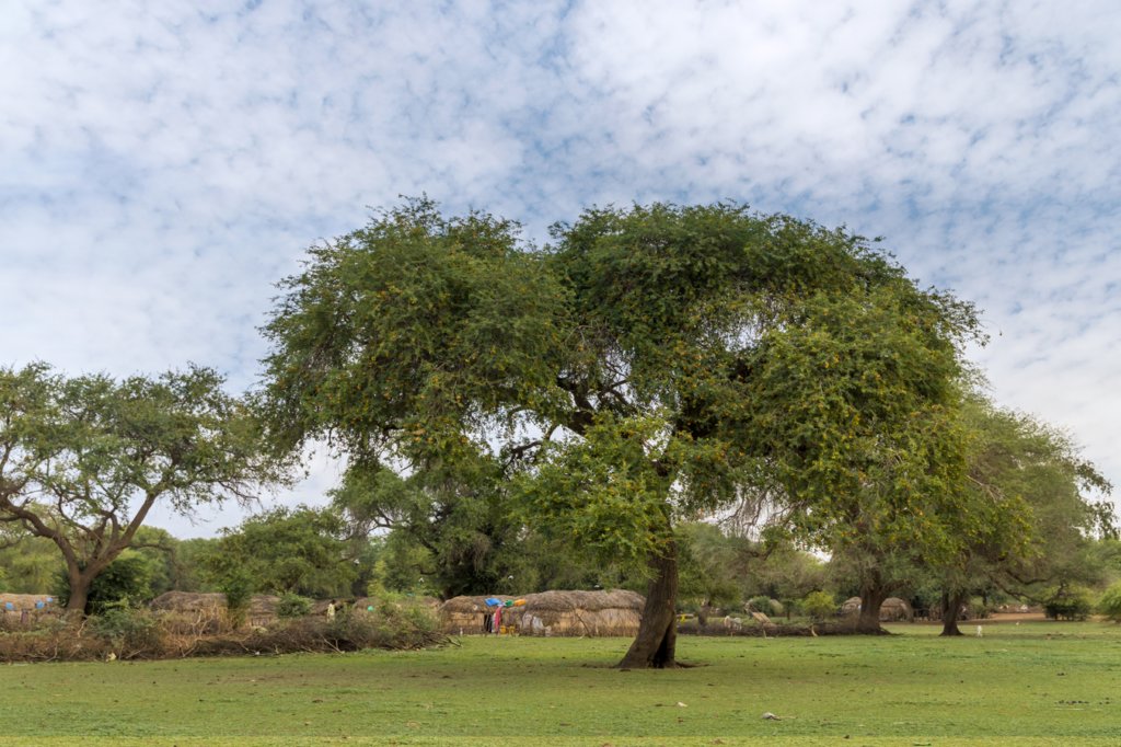 wyprawadosenegalu202379.jpg